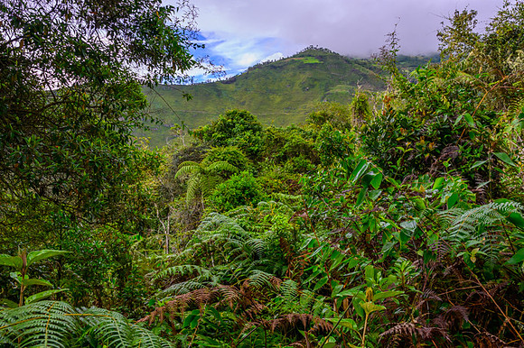Peru